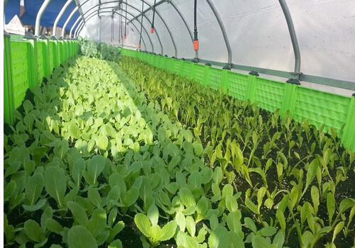 ��ʲôҪ��������|��������|��ʲô����